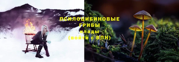 спиды Костерёво