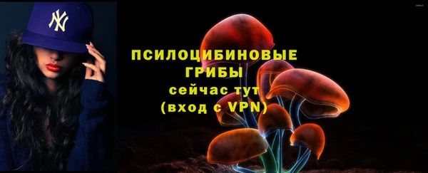 таблы Корсаков