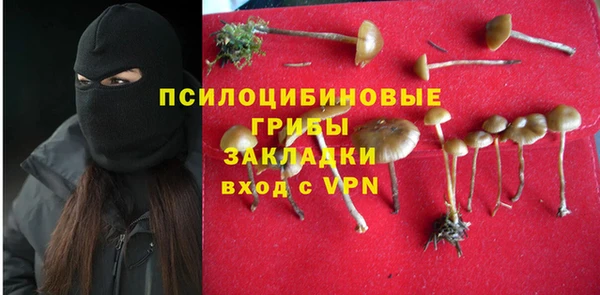 спиды Костерёво