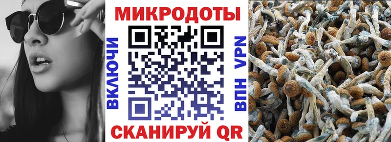 Купить  Балабаново  Псилоцибиновые грибы Magic Shrooms 